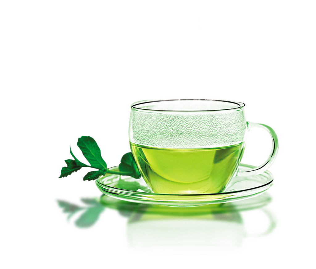 Green-Tea-Cup-Background-PNG-Image